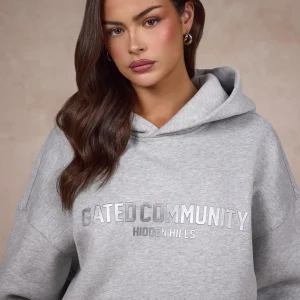 BASICS HOODIE MEDIUM GRAY