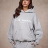 BASICS HOODIE MEDIUM GRAY