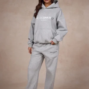 BASICS HOODIE MEDIUM GRAY