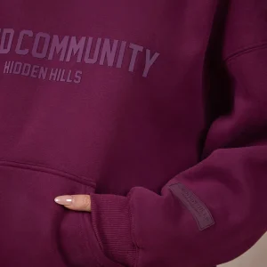 BASICS HOODIE DARK PLUM