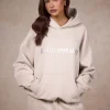 BASICS HOODIE SAND